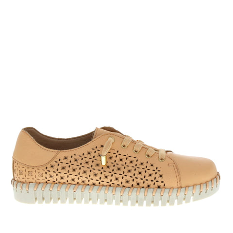 nuxneo 'Xenia/BT-367622' / Pessego 24 Beige